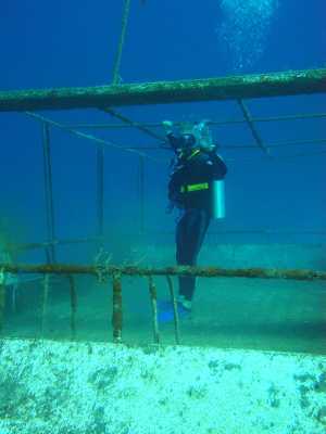 red sea_033.jpg